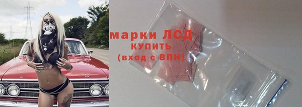 ПСИЛОЦИБИНОВЫЕ ГРИБЫ Бородино