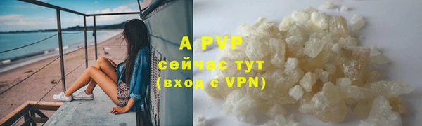 ПСИЛОЦИБИНОВЫЕ ГРИБЫ Бородино