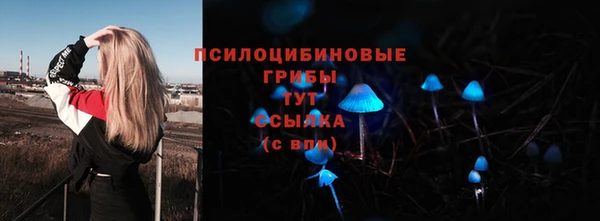 ПСИЛОЦИБИНОВЫЕ ГРИБЫ Бородино