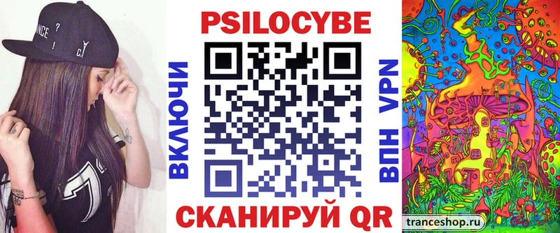 Купить закладки  Северская  Галлюциногенные грибы мицелий 