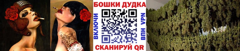 Каннабис SATIVA & INDICA Северская